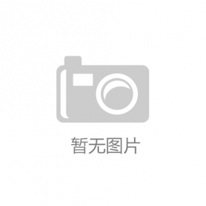 铬钼合金钢锤盘